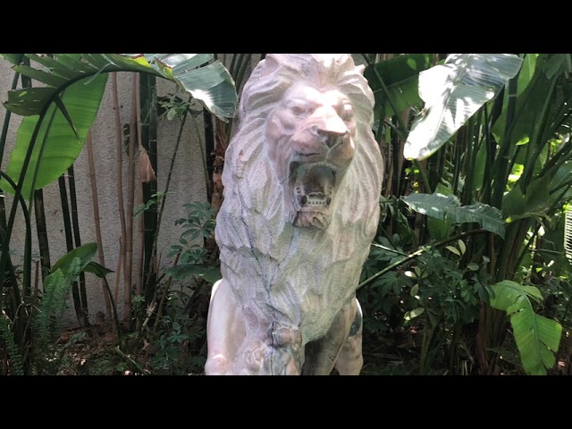 Siegfried and Roy secret garden experience – Las Vegas 7/13/21