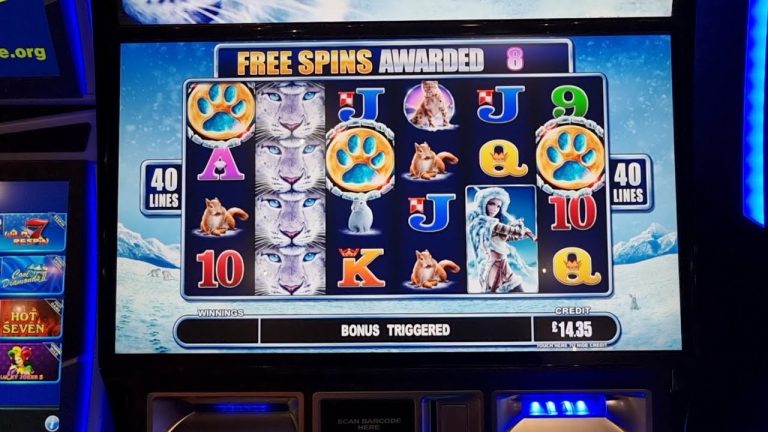 Arcade Slots. Snow Leopard, Thai Flower and More. *Max Bet Bonuses*