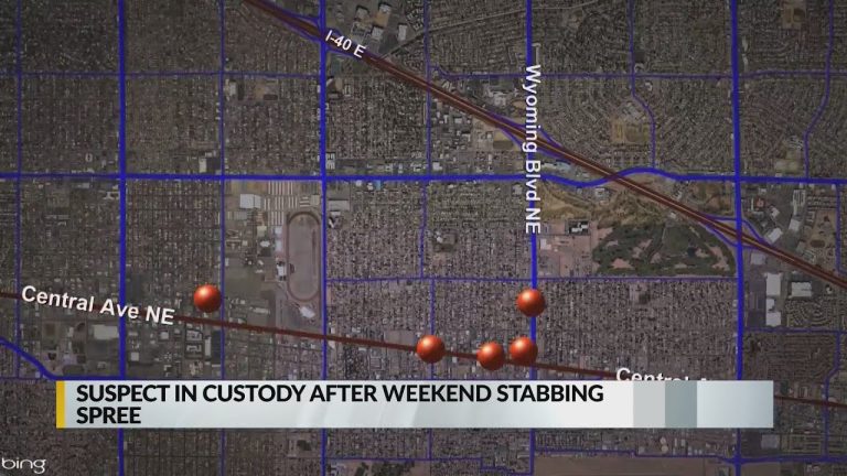 Community reacts to 11 injured in stabbing spree, suspect in custody