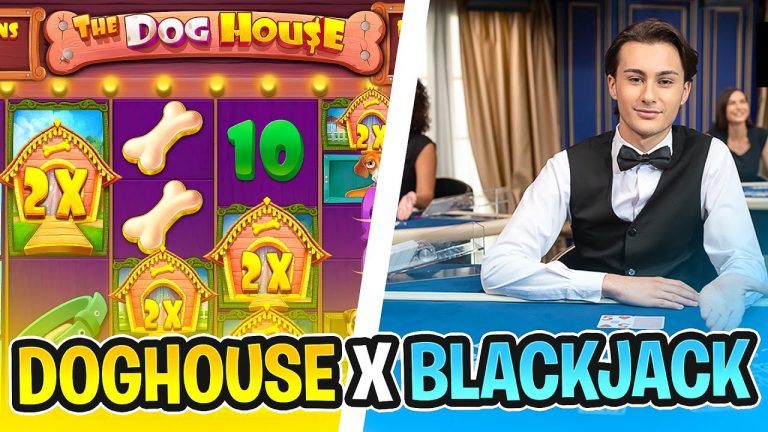 DOGHOUSE x BLACKJACK!