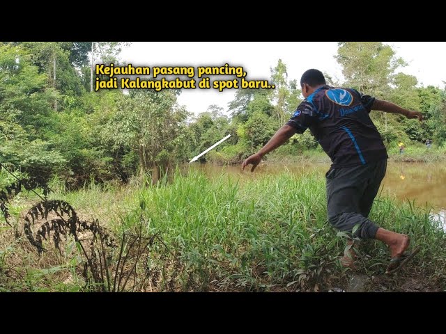 Nemu spot mancing baru, lempar kiri kanan di sambar semua