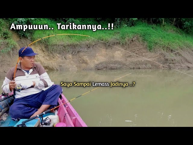 PANIK, tiba-tiba pancing di tarik ikan BESAR! ternyata ini spot udang galak yg di remehkan orang