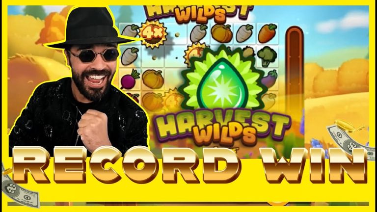 ROSHTEIN EPIC RECORD WIN ON HARVEST WILDS!! NEW SLOT