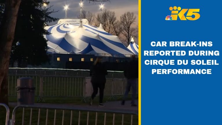 Rash of car break-ins reported at park hosting Cirque du Soleil