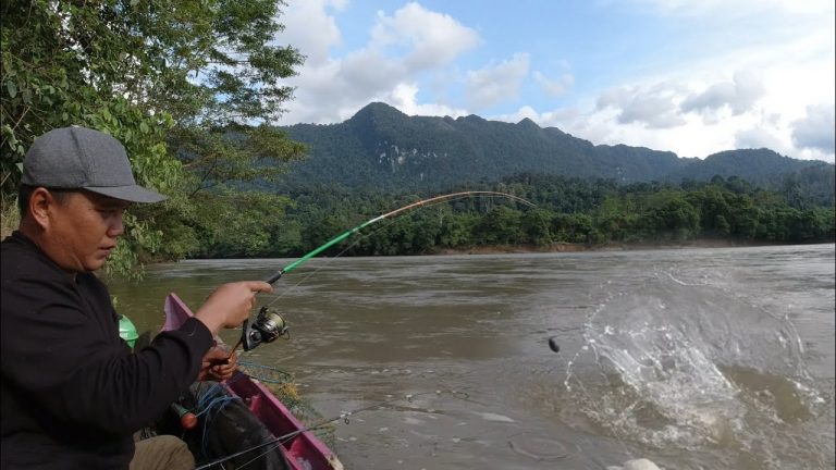 Sambaran Ganas.!! Mancing Baung Babon Di Hulu Sungai || Ada Apa Dengan Baung Besar Di Sungai Ini.???