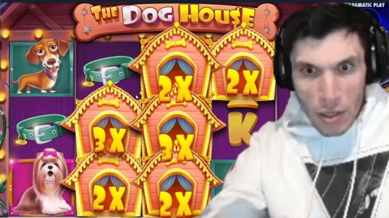 That WIN is UNIMAGINABLE | Dog House on 1000$ STAKE | Trainwreckstv Gambling Highlights