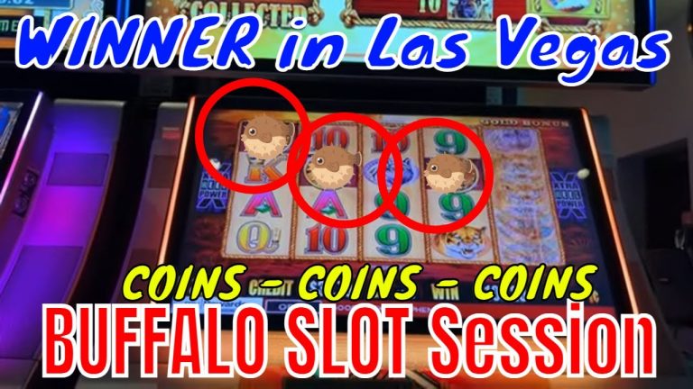 BUFFALO Slots Las Vegas 3x Games – BONUS Win – Retrigger – CASH Palace Station Hotel Casino Winner