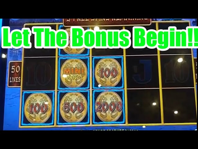 Bonus Time With Blue!! Some fun wins on Dollar Storm and Dragon Riches!! Special announcement!!