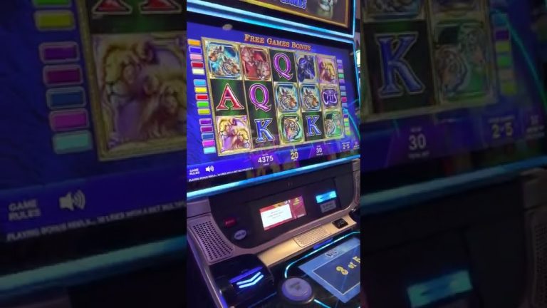 Cats slot machine | 30 cents bet 5 free games | Golden Mesa Casino