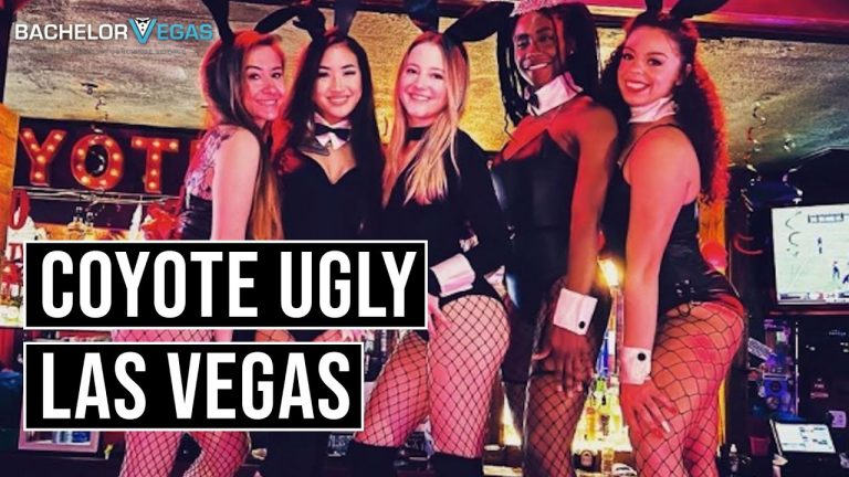 Coyote Ugly Las Vegas