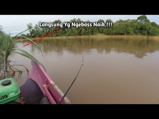 Gak usah lama.! Air bagini yang pas untuk mancing ikan baung babon || Umpan Baung RR