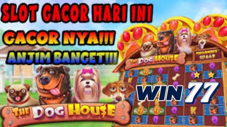 SLOT TERGACOR HARI INI || THE DOG HOUSE MEGAWAYS