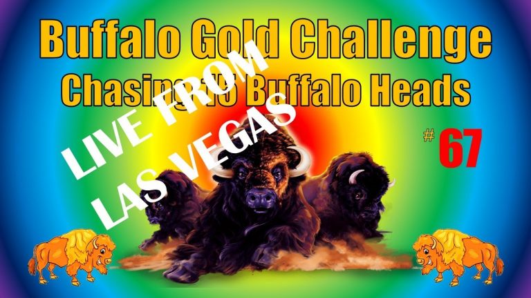 Buffalo Gold Challenge – Chasing 15 Buffalo Heads #67 – LIVE!!