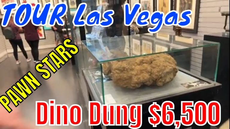 Cash or Crash Las Vegas LIVE – Las Vegas – The Morning After – Grammy Day -How clean are the Streets