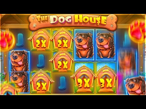 Chimp | ME & MOE YASSUO HIT THE GOLDMINE ON DOGHOUSE MEGAWAYS | Stake Highlights #15