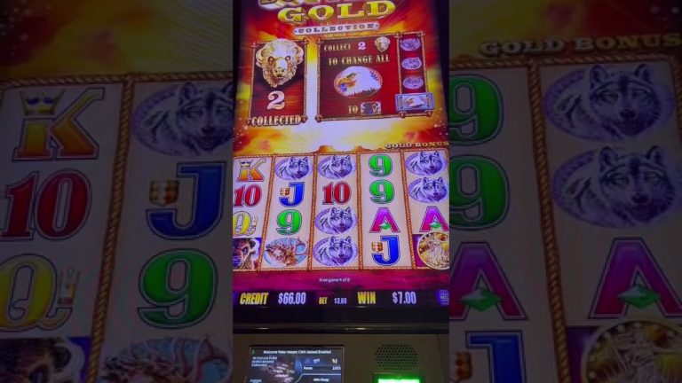 I need some coin love on Buffalo Gold Slot Machine (1) #shorts