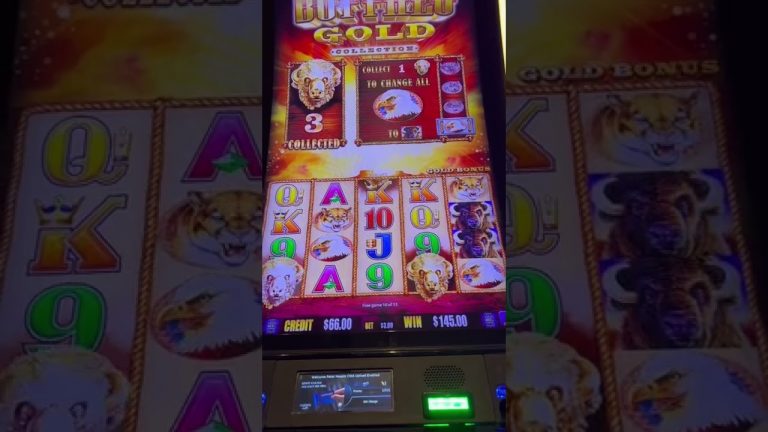 I need some coin love on Buffalo Gold Slot Machine (2) #shorts