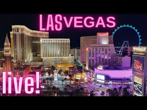 Las Vegas Live Stream Dingo Lunch Walkabout #lasvegas