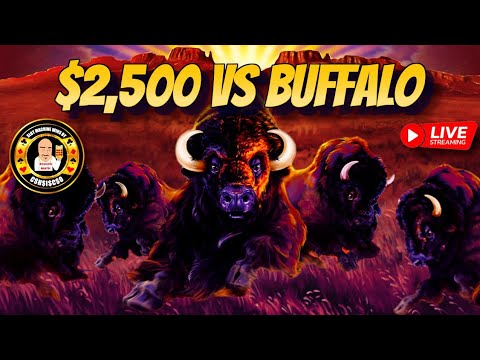 $2,500 vs Buffalo Gold LIVE