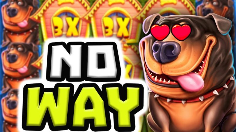 I BROKE THE DOG HOUSE MEGAWAYS OMG *** ULTRA BIG WINS ***