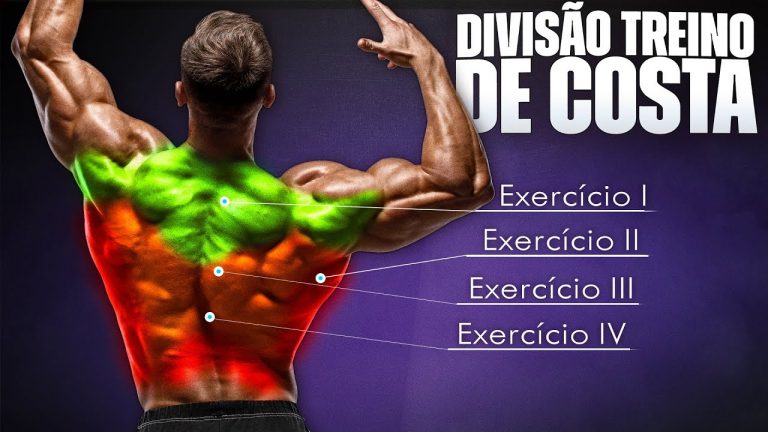 Montando o TREINO DE COSTAS PERFEITO! (Todos Exercícios)