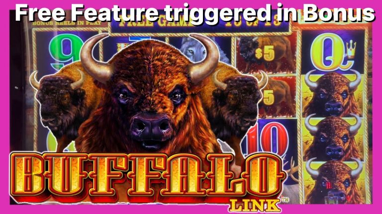 Rare Buffalo Link Free Feature Awarded During Bonus Live slot Play at Casino