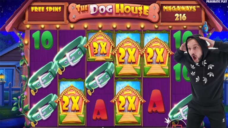 The Dog House Megaways HUGE WINS CASINO SLOT (bonus buy) Game