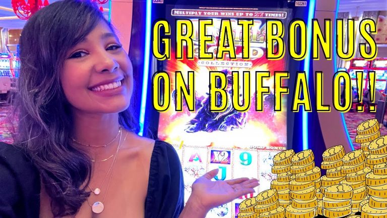 WE WON A FUN BUFFALO GOLD BONUS!