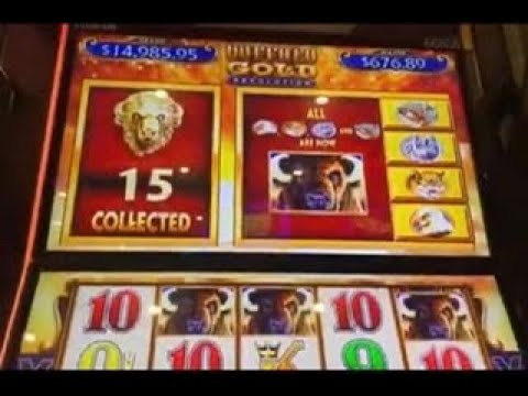 15 Buffalo Gold Heads !110 Spins & AND A MASSIVE HAND PAY #bigwin #buffalo #handpay #str8upslots