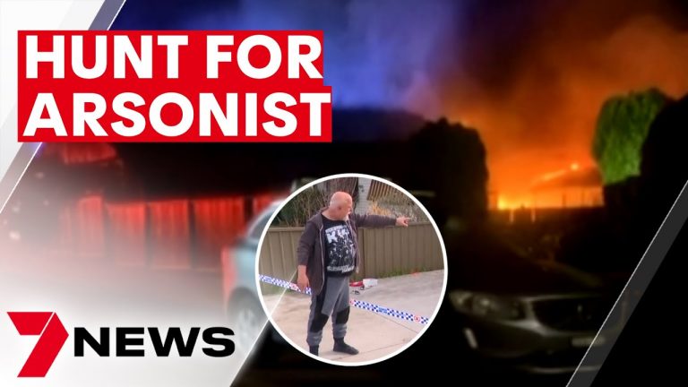 Arsonist sets fire to Mount Pritchard home | 7NEWS