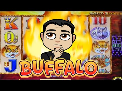 BUFFALO GOLD$12 MAX BETS #slotmachine #casino #jackpot