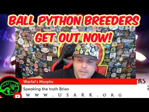 Ball python breeders get out now – What’s in your cup? Episode 82