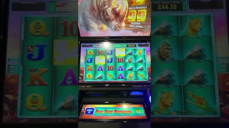 Bookies Slot Raging Rhino My BIGGEST Win Ever playing this !!