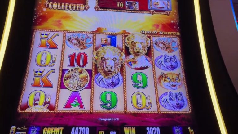 Buffalo Gold Jackpot! Hand Pay! 7 Bonuses! 14 Gold Buffalo Heads!