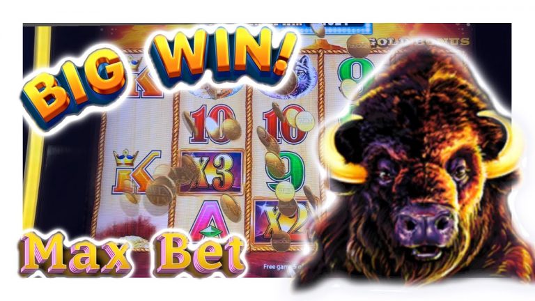 Finally a little action on Buffalo Gold! Nice Bonus Win Slot play at the Casino