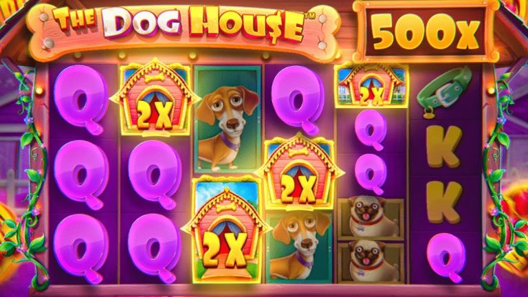 INSANE 500X WIN ON DOG HOUSE MEGAWAYS!! (bonus buys)