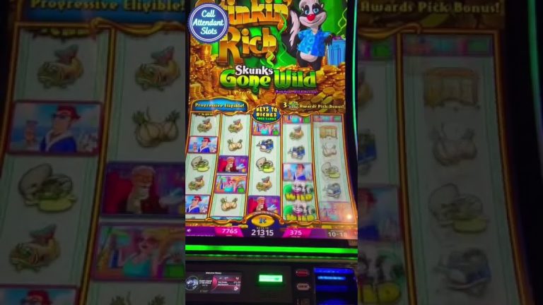 MASSIVE Bonus on Stinkin Rich Skunks Gone Wild Slot Machine! (Part 2)