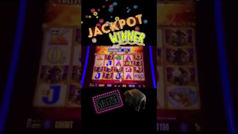 MASSIVE JACKPOT WIN! BUFFALO GOLD SLOT!