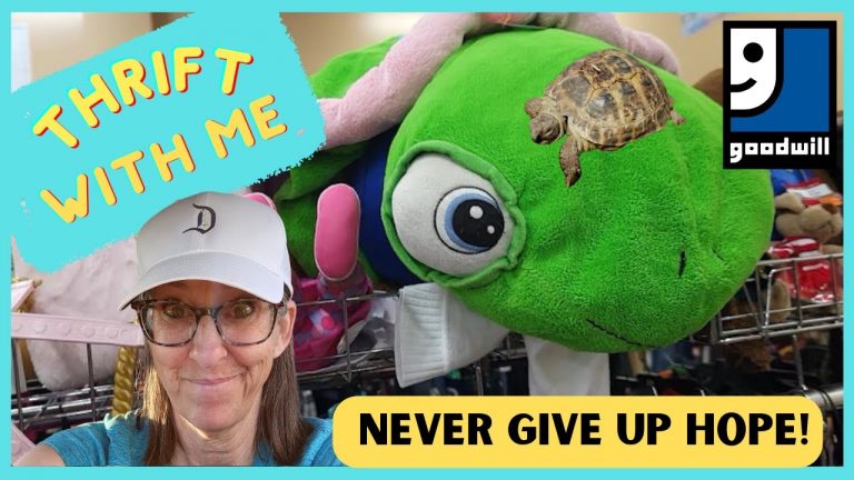 Never Give Up Hope – Thrift With Me – Thrifting at Goodwill in Las Vegas