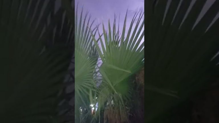 lluvia con truenos fuertes en las vegas nv