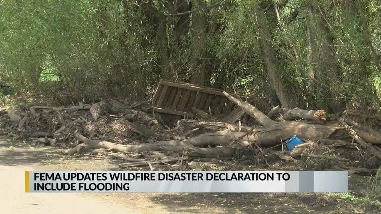 Assistance available for those affected by flooding in northern New Mexico