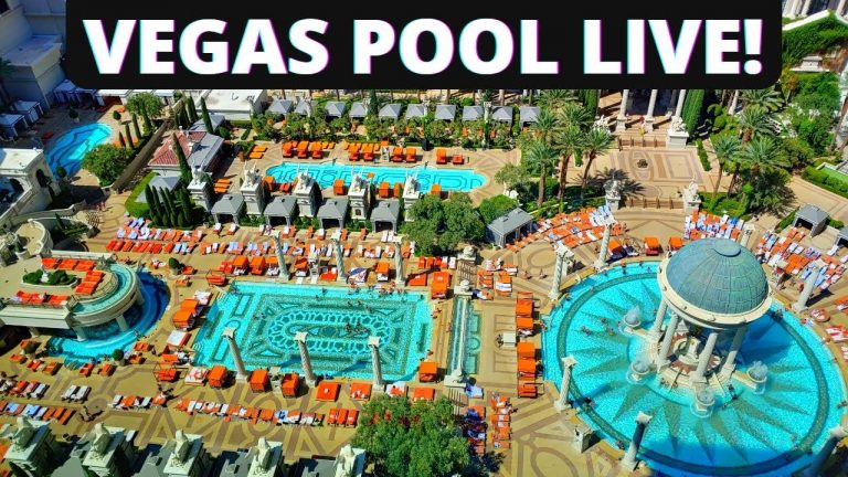 LAS Vegas POOL LIVE ASMR Walkabout Dingo Livestream