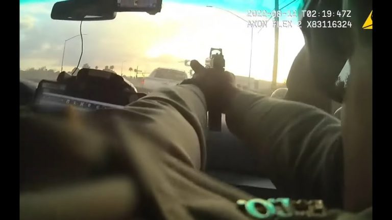 Las Vegas Police Release Wild Video After Carjacking and High-Speed Chase