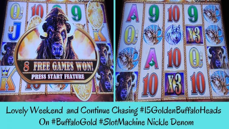 Lovely Weekend and Continue Chasing 15 GOLDEN BUFFALO HEADS on Nickle Denom Slot – SunFlower Slots