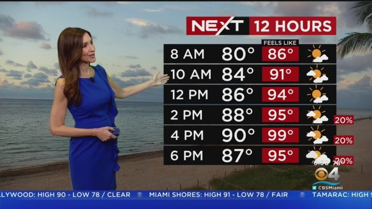 Miami Weather 8/3/2022 6AM