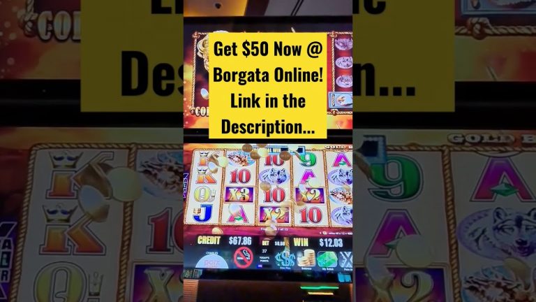 OMG! Buffalo Gold Collection Does it Again! Slot Videos With Loud & Local!!!