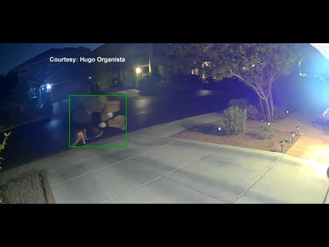 Porch pirates fill shopping cart with stolen packages as they walk through Las Vegas neighborhood