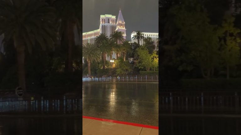 Rainy Evening on Las Vegas Blvd