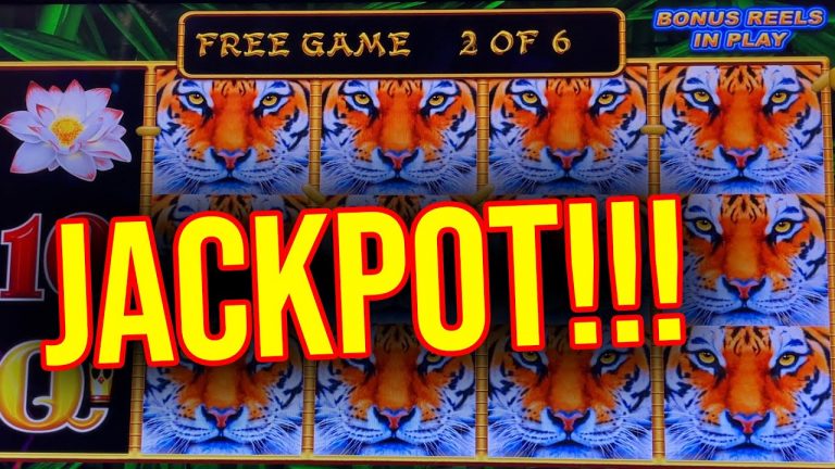 SARAH HITS A JACKPOT HANDPAY!!! Lightning Link Slot Machine