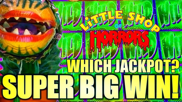 SUPER BIG WIN! MY BIGGEST WIN EVER! LITTLE SHOP OF HORRORS Slot Machine (EVERI)